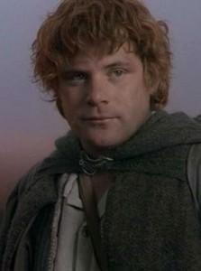 Sean Astin as Sam. The Lord of the Rings. Wingnut Films, The Saul Zaeutz company and New Line Cinema.