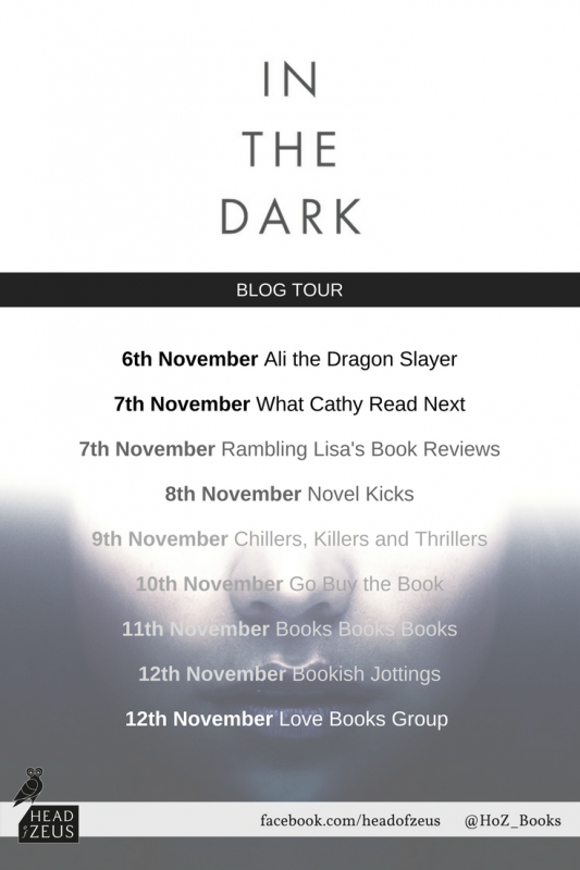 In the Dark blog tour banner