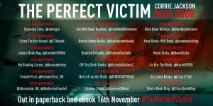 Perfect Victim_Blog Tour Banner_v1 (2)
