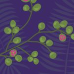 Book Extract: iRemember by SV Bekvalac