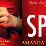 Book Review: The Split by Amanda Brookfield