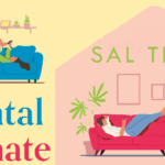 Book Extract: The Accidental Housemate by Sal Thomas